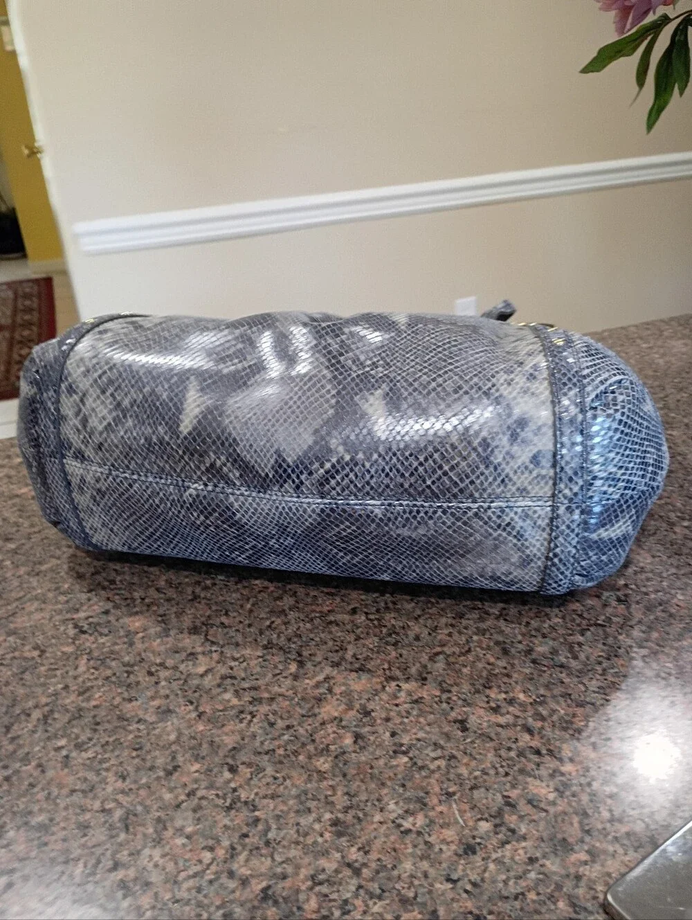 NWT Coach Alexandra Exotic Python Embossed Leather Bag